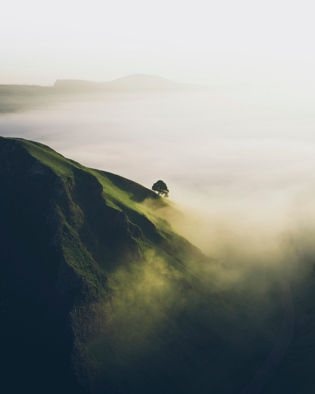 Hundeshampoo ohne synthetische Zusätze?