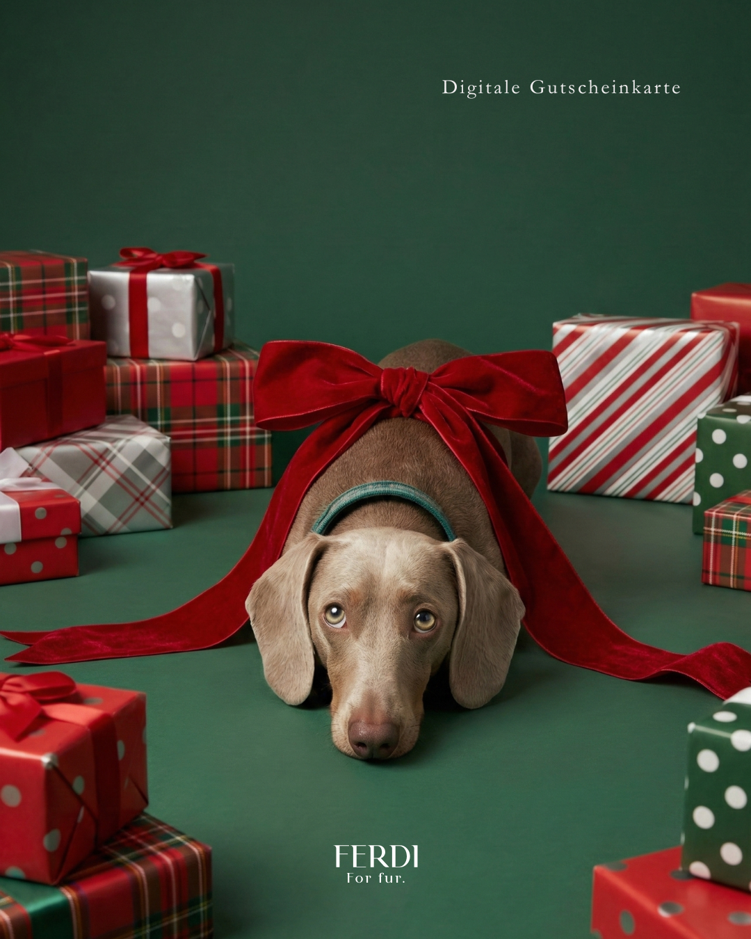 FERDI Digital Gift Card